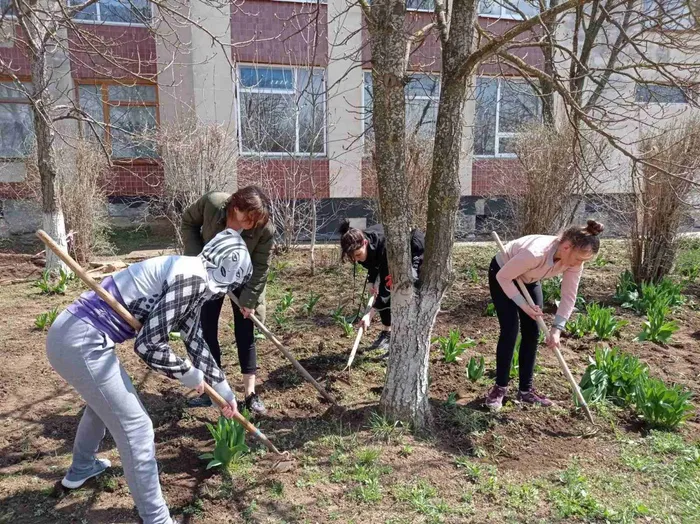 IMG-02140d75f84e98045ff814ac30ba8002-V